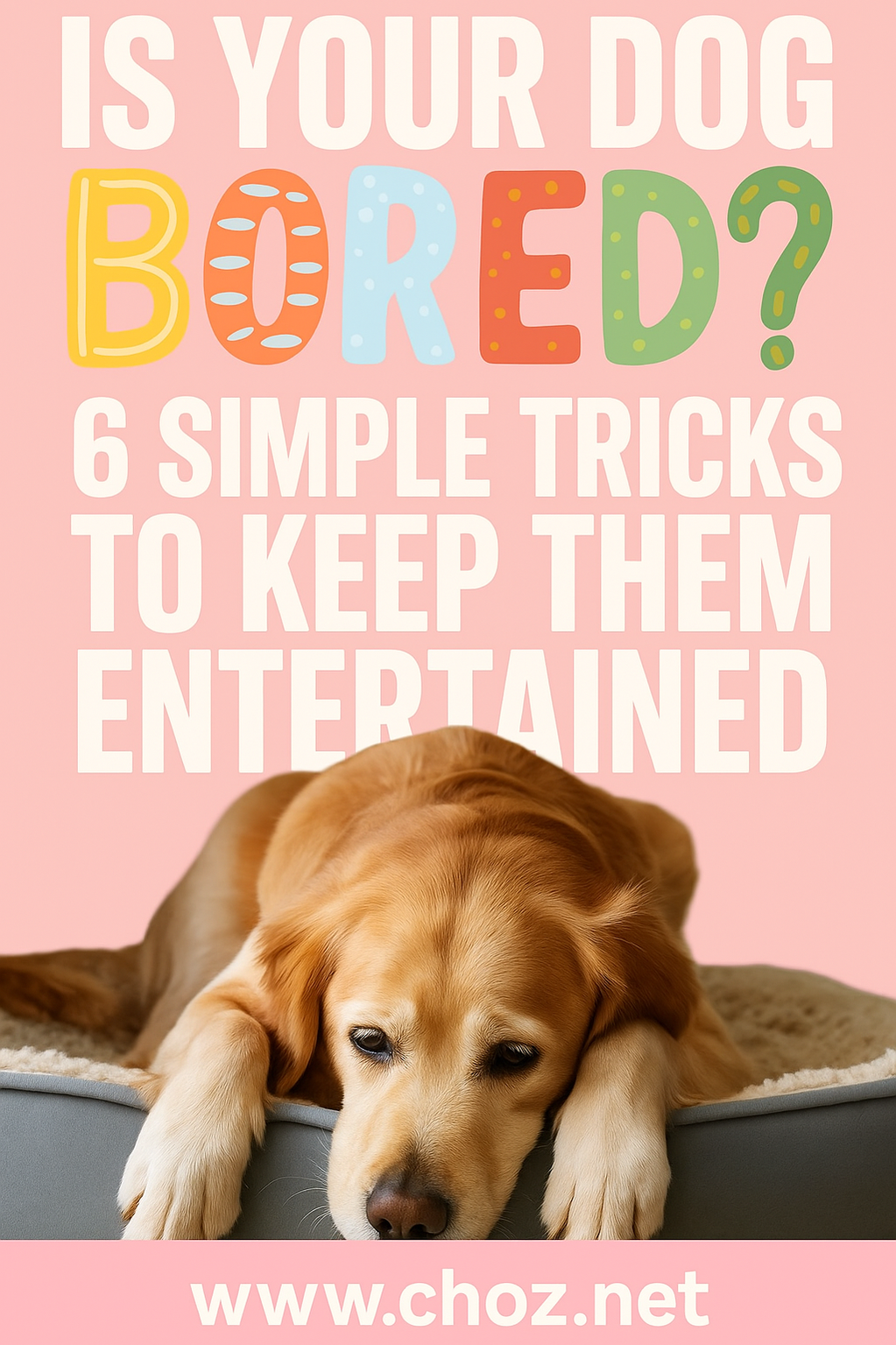 Keep Your Dog from Getting Bored