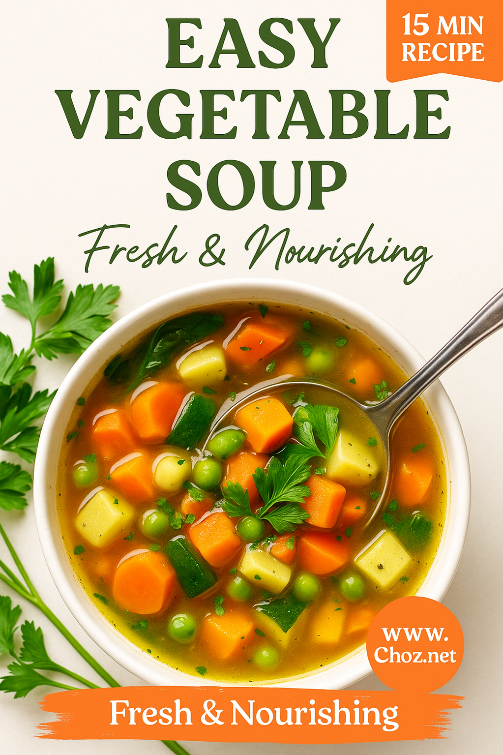 Vegetable Soup Recipe