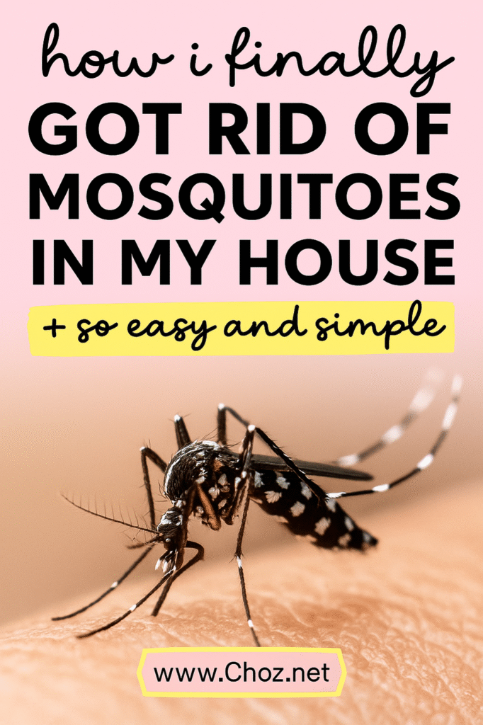 how to keep mosquitoes out of your yard