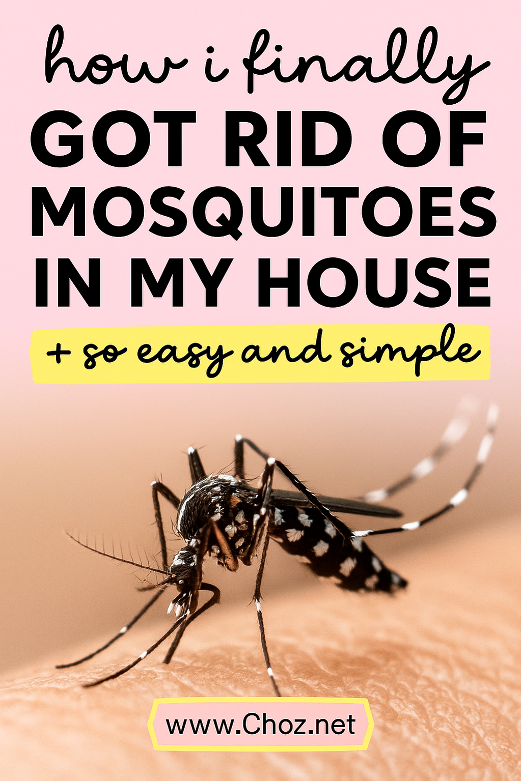 how to keep mosquitoes out of your yard